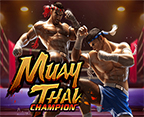 Muay Thai Champion