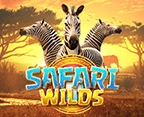 Safari Wilds